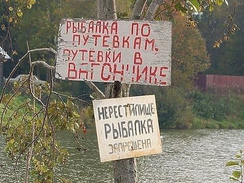 Настал нерестовый запрет в Ярославской области